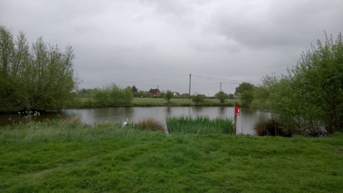 a large pond at Monkwood Green Common with ducks and a swan